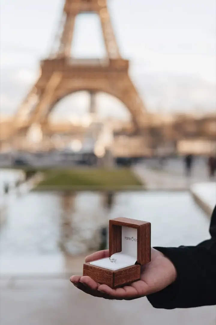 Proposal Photographer in Paris